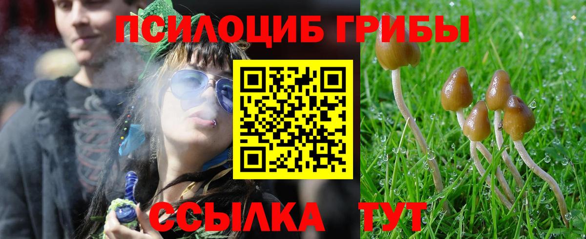 Галлюциногенные грибы Cubensis  Вход с VPN  Вязьма 